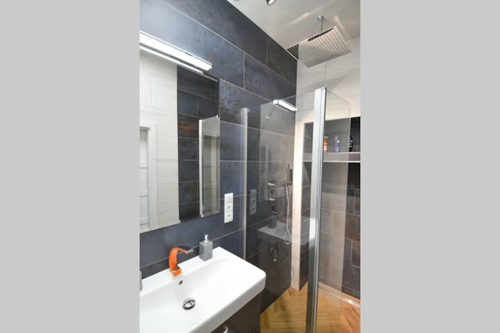 Brandly New Apartment Andel 布拉格